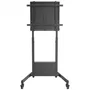 Aisens Soporte PRO de Suelo con Ruedas y Contrapeso FT100E-263 para TV 60-100 pulgadas